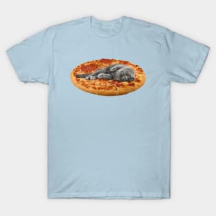 Pizza Cat T-Shirt